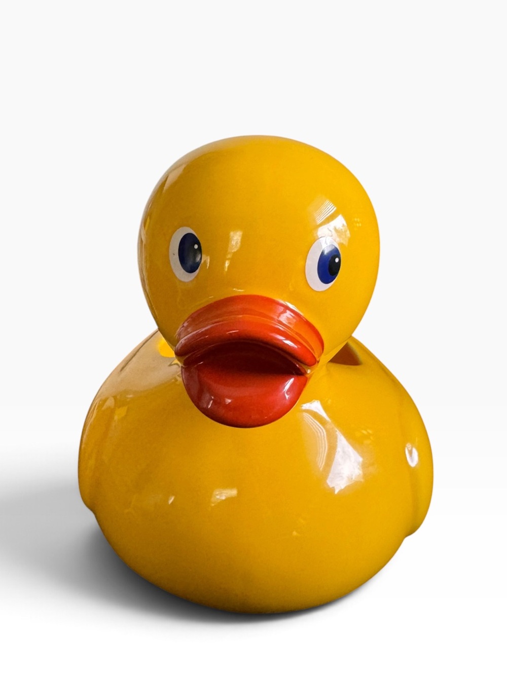 Teleflora ceramic rubber ducky planter